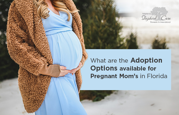 Pregnant Mom's Adoption Options