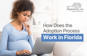 How Does Adoption Work in Florida