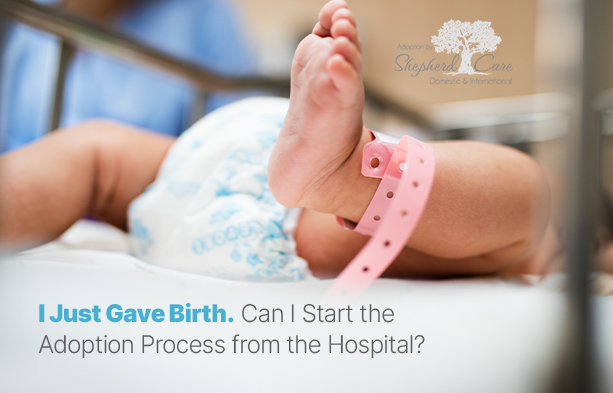 Just Gave Birth? Adoption from Hospital