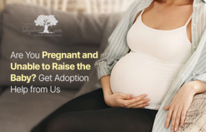 Pregnant and Unable to Raise the Baby? Get Adoption Help?