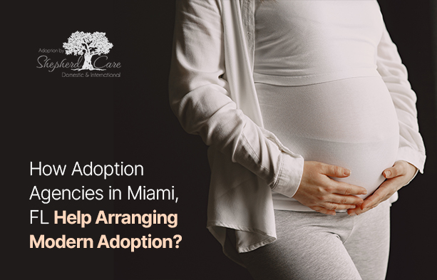 Adoption Agencies in Miami FL