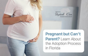 Pregnant? Learn About the Adoption Process in Florida