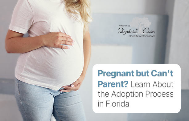 Pregnant? Learn About the Adoption Process in Florida