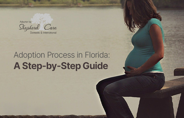 adoption process in Florida