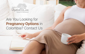 Looking For Pregnancy Options?