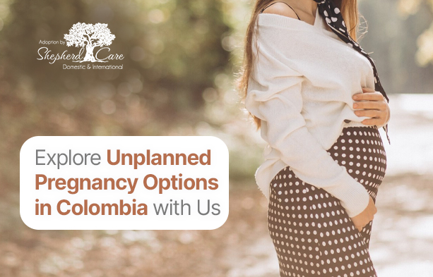 Unplanned pregnancy options