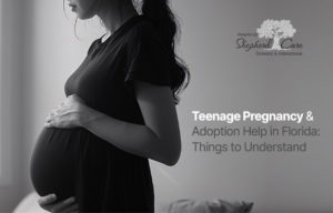 teenage pregnancy adoption help in Florida