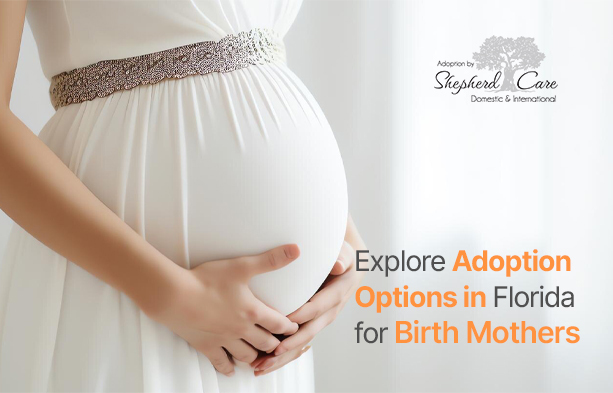 adoption options in Florida