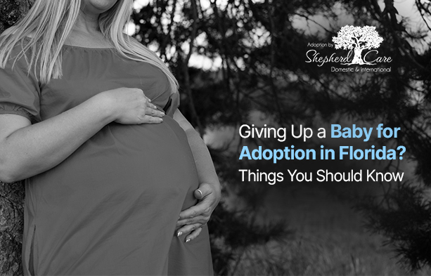 giving up a baby for adoption in Florida