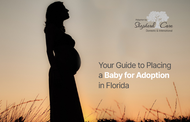 placing a baby for adoption in Florida