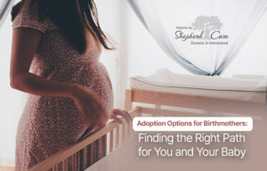 adoption options