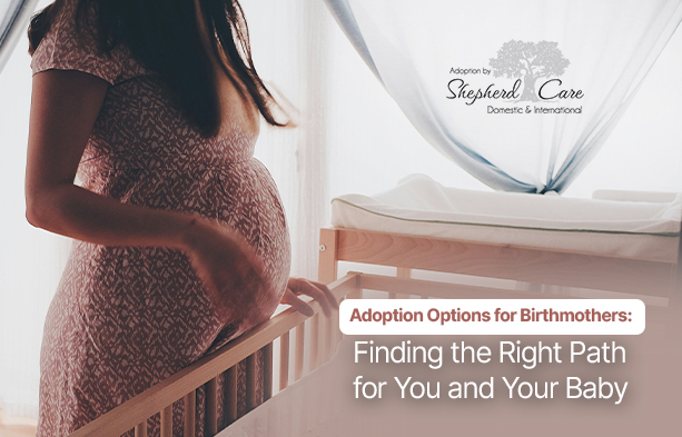 adoption options