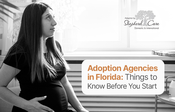 adoption agencies in Florida