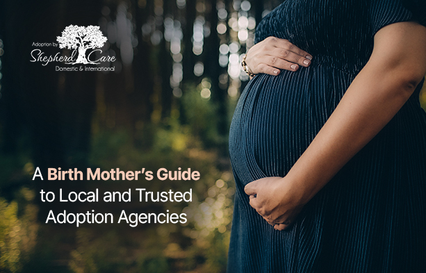 adoption agencies