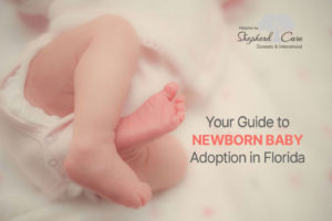 adoption in Florida