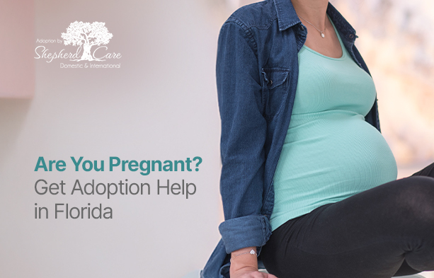 pregnant adoption help in Florida
