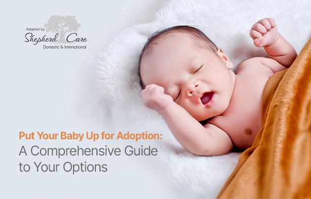 put your baby up for adoption