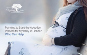 adoption for my baby in Florida