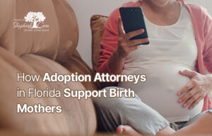 Adoption Attorneys in Florida