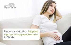 Adoption Options for Pregnant Mothers