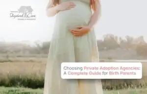 Private Adoption Agencies